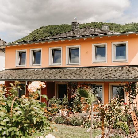 Wein- Und Gaestehaus Schwaab&Sohn Erden エクステリア 写真