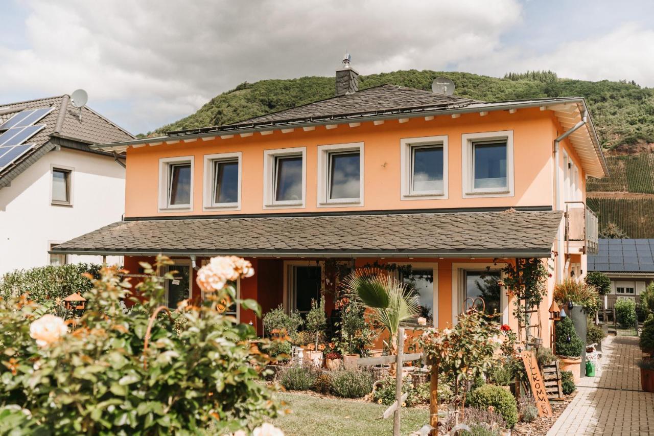 Wein- Und Gaestehaus Schwaab&Sohn Erden エクステリア 写真