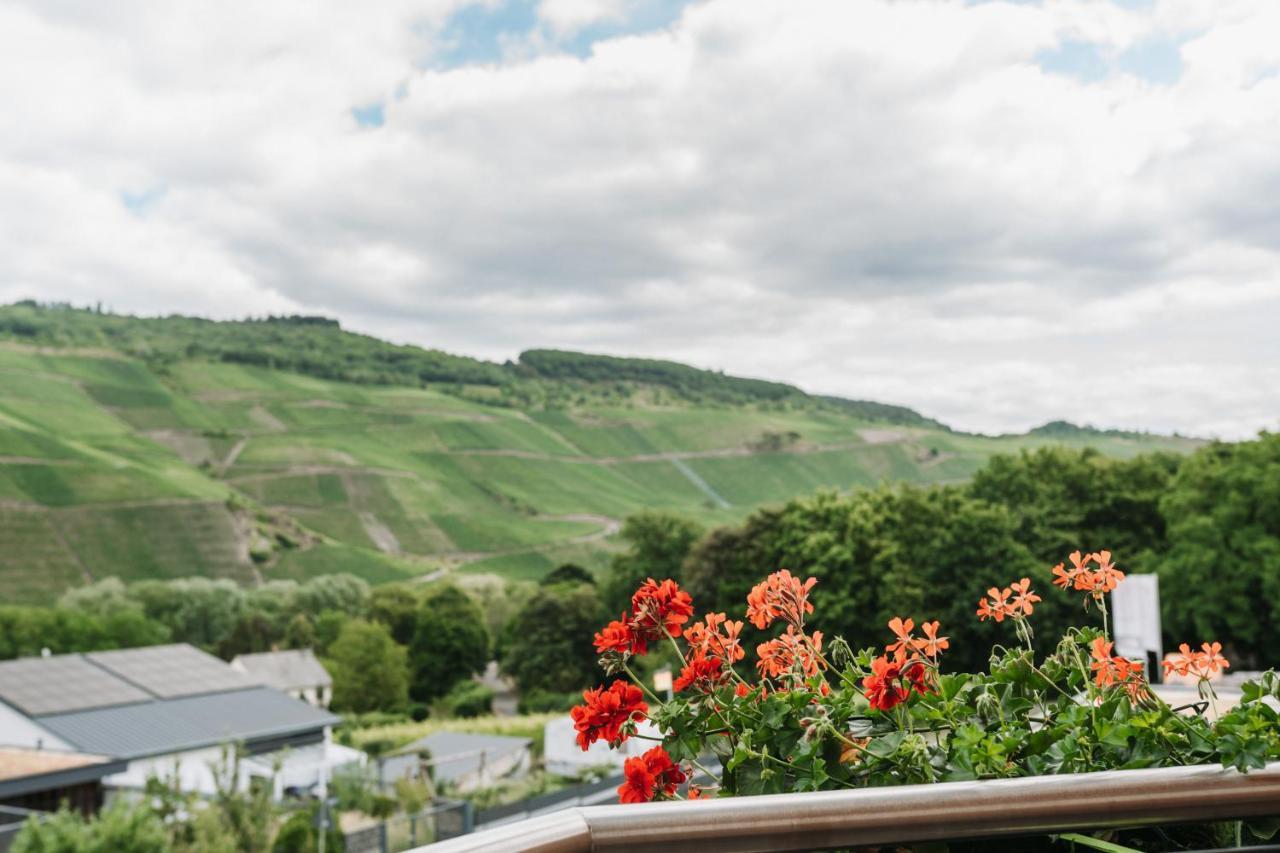Wein- Und Gaestehaus Schwaab&Sohn Erden エクステリア 写真