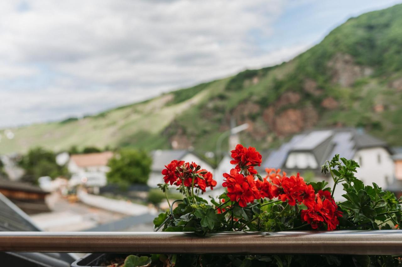 Wein- Und Gaestehaus Schwaab&Sohn Erden エクステリア 写真